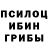 Псилоцибиновые грибы Psilocybine cubensis Vladimir Deu