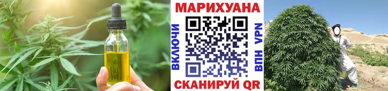 Еда ТГК марихуана  omg сайт  Ржев 