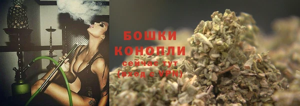 прущий лед Армянск