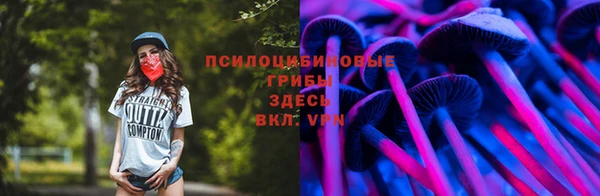 прущий лед Аркадак