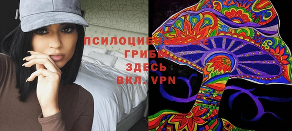 прущий лед Аркадак