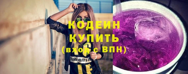 дурь Арсеньев