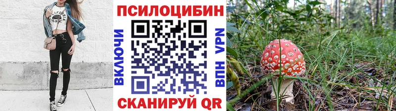 купить наркотики сайты Ржев Псилоцибиновые грибы GOLDEN TEACHER